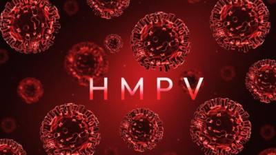 About Human Metapneumovirus